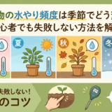 観葉植物の水やり頻度は季節でどう変わる?初心者でも失敗しない方法を解説