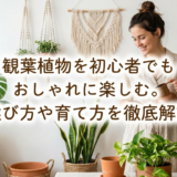 観葉植物を初心者でもおしゃれに楽しむ。選び方や育て方を徹底解説