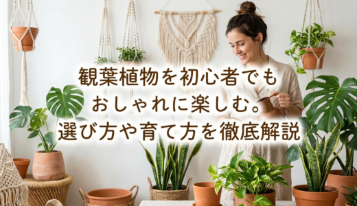 観葉植物を初心者でもおしゃれに楽しむ。選び方や育て方を徹底解説