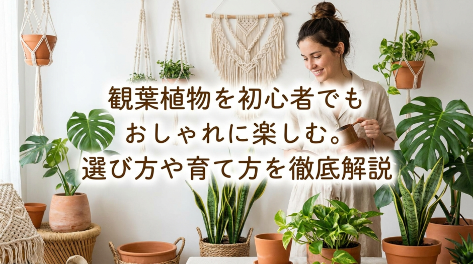 観葉植物を初心者でもおしゃれに楽しむ。選び方や育て方を徹底解説