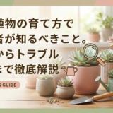 多肉植物の育て方で初心者が知るべきこと。基本からトラブル対策まで徹底解説