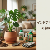 観葉植物のプランターと培養土・肥料の選び方。初心者でも失敗しない栽培のコツを解説！