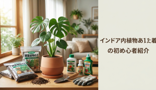 観葉植物のプランターと培養土・肥料の選び方。初心者でも失敗しない栽培のコツを解説！