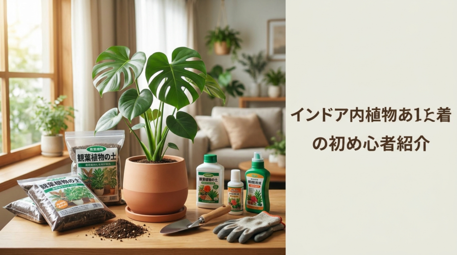 観葉植物のプランターと培養土・肥料の選び方。初心者でも失敗しない栽培のコツを解説！