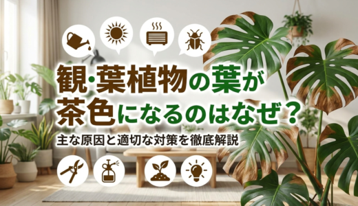 観葉植物の葉が茶色になるのはなぜ？主な原因と適切な対策を徹底解説