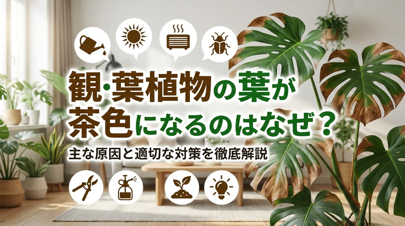 観葉植物の葉が茶色になるのはなぜ？主な原因と適切な対策を徹底解説