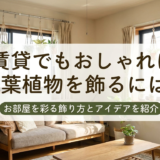 賃貸でもおしゃれに観葉植物を飾るには?お部屋を彩る飾り方とアイデアを紹介