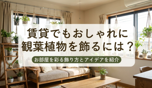 賃貸でもおしゃれに観葉植物を飾るには？お部屋を彩る飾り方とアイデアを紹介