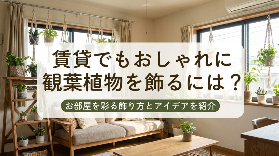 賃貸でもおしゃれに観葉植物を飾るには？お部屋を彩る飾り方とアイデアを紹介