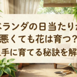 ベランダの日当たりが悪くても花は育つ？上手に育てる秘訣を解説
