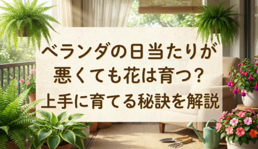 ベランダの日当たりが悪くても花は育つ？上手に育てる秘訣を解説
