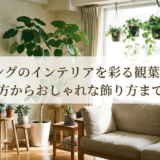 リビングのインテリアを彩る観葉植物。選び方からおしゃれな飾り方まで解説