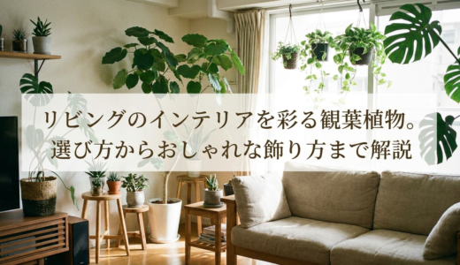 リビングのインテリアを彩る観葉植物。選び方からおしゃれな飾り方まで解説