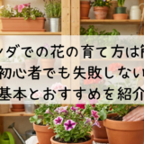 ベランダでの花の育て方は簡単!初心者でも失敗しない基本とおすすめを紹介