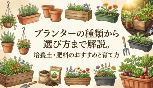プランターの種類から選び方まで解説。培養土・肥料のおすすめと育て方