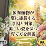 多肉植物が夏に徒長する原因と対策。美しい姿を保つ育て方を解説