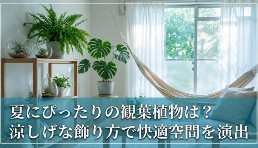 夏にぴったりの観葉植物は？涼しげな飾り方で快適空間を演出