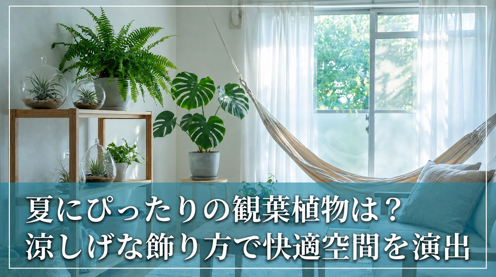 夏にぴったりの観葉植物は？涼しげな飾り方で快適空間を演出