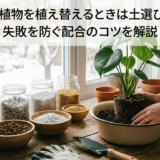 冬に観葉植物を植え替えるときは土選びが肝心！失敗を防ぐ配合のコツを解説