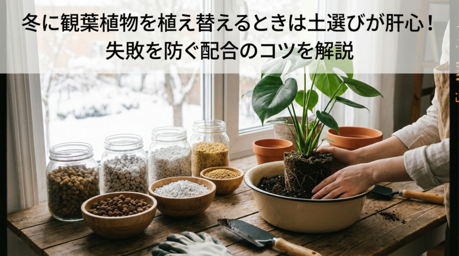 冬に観葉植物を植え替えるときは土選びが肝心！失敗を防ぐ配合のコツを解説