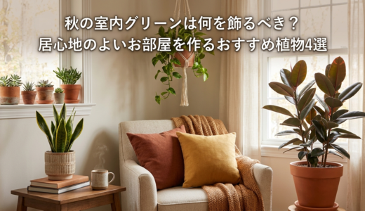 秋の室内グリーンは何を飾るべき？居心地のよいお部屋を作るおすすめ植物4選