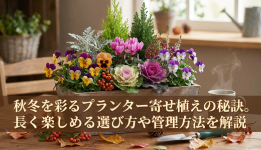秋冬を彩るプランター寄せ植えの秘訣。長く楽しめる選び方や管理方法を解説